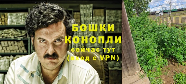 крисы Сатка