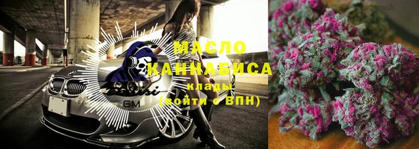 крисы Сатка